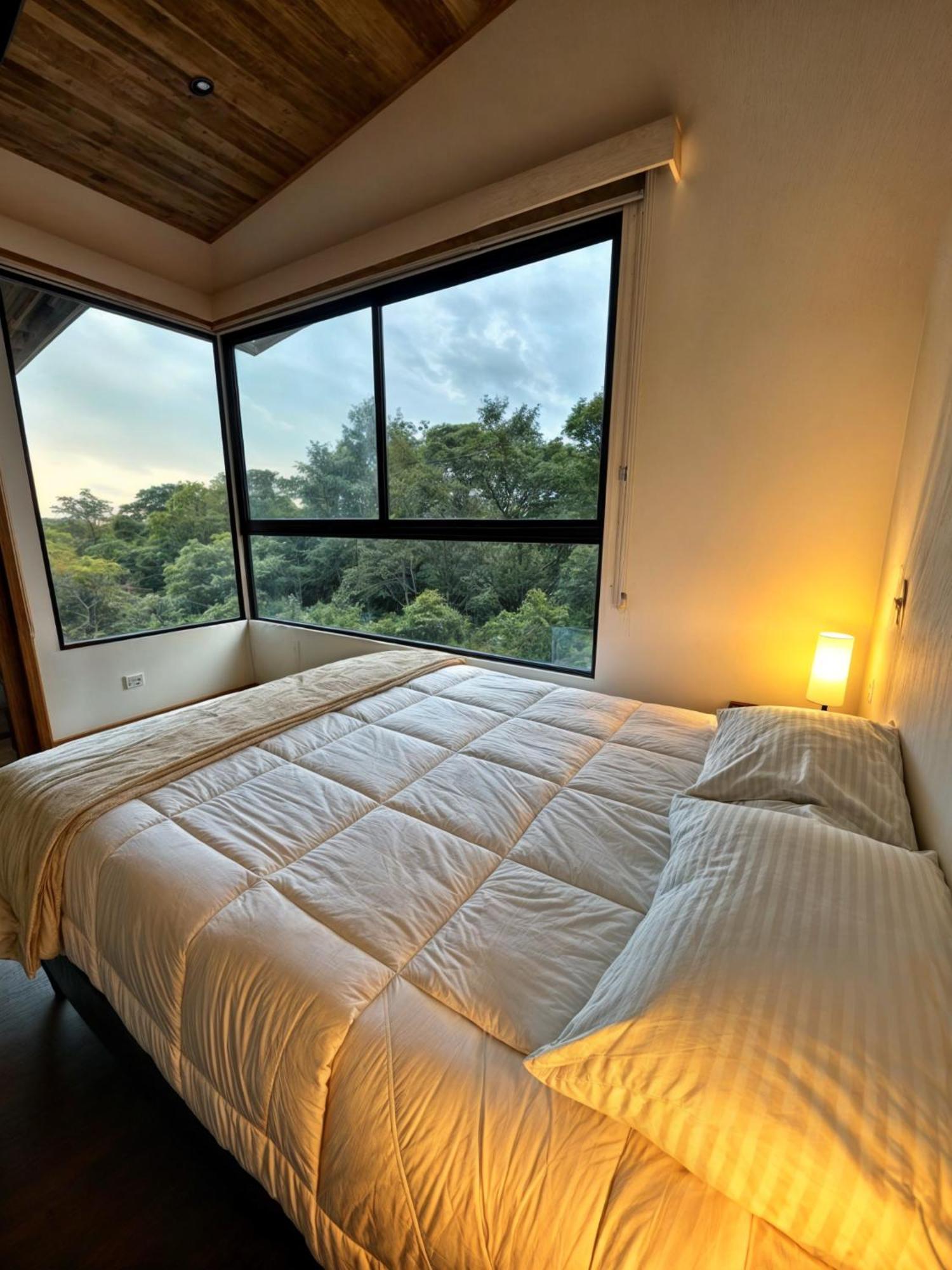 Moon Forest Apartments Monteverde Bagian luar foto