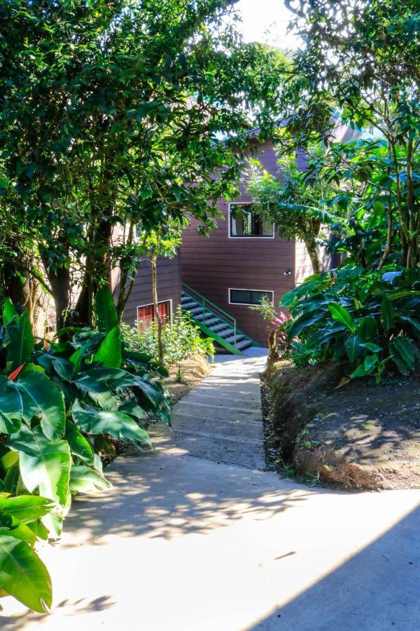 Moon Forest Apartments Monteverde Bagian luar foto