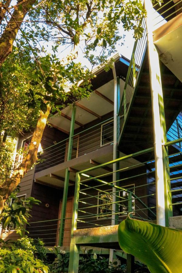 Moon Forest Apartments Monteverde Bagian luar foto
