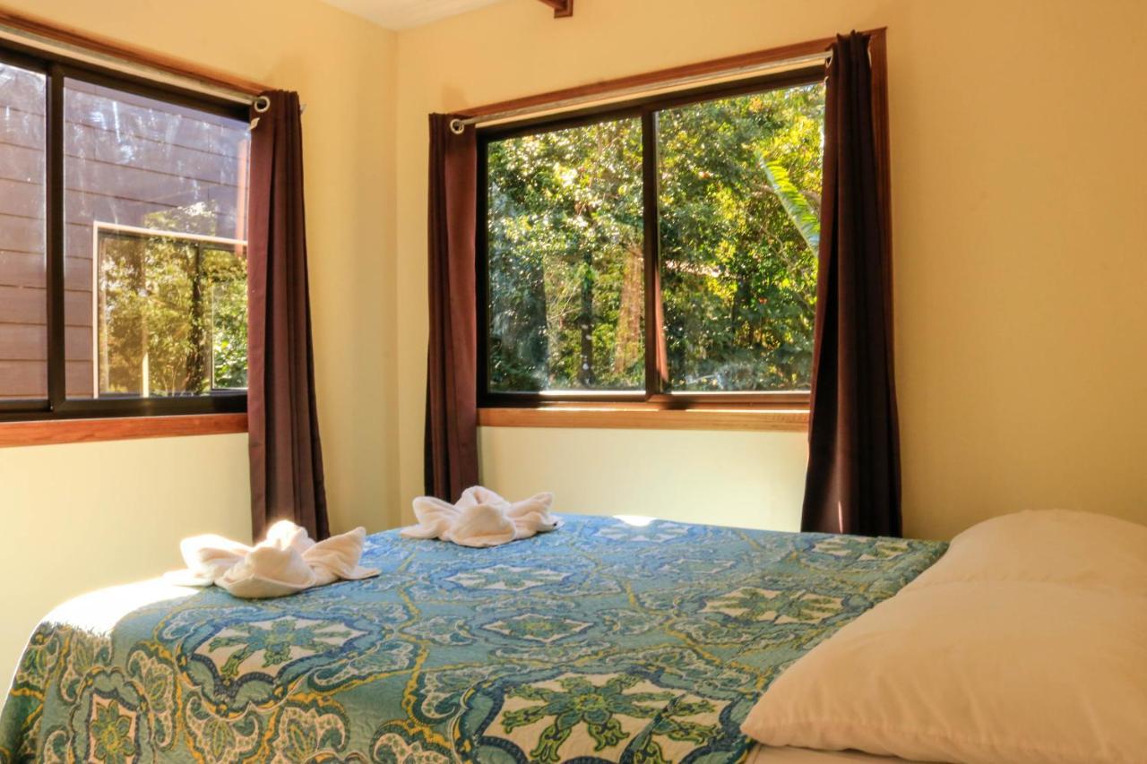 Moon Forest Apartments Monteverde Bagian luar foto