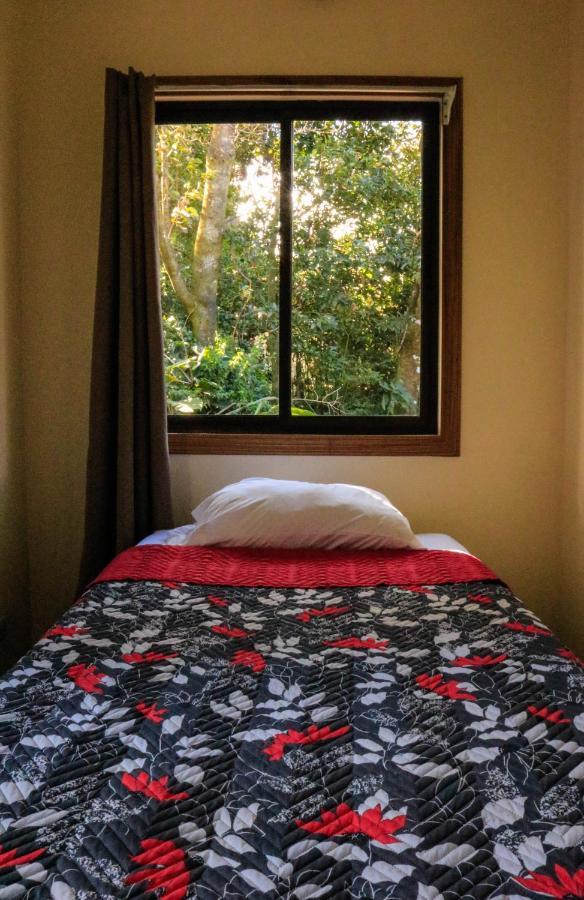 Moon Forest Apartments Monteverde Bagian luar foto